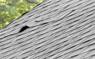 Missing Shingles In Timonium, Do I Need To Replace My Roof?
